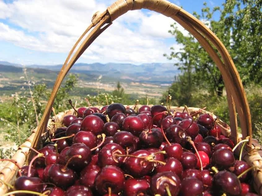 A TERAPIA DA CEREJA