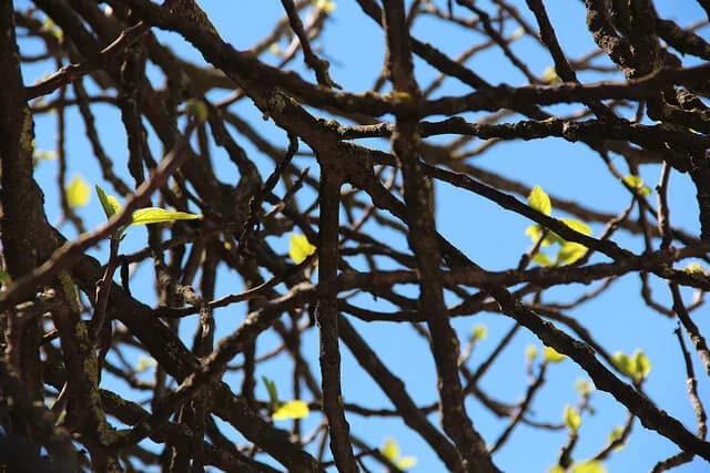 Representação simbólica da ressurreição de Jesus Cristo com luz radiante a sair de um túmulo vazio.