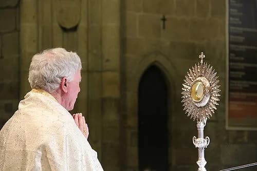 D. Manuel Felício, Bispo da Guarda, sorridente durante uma celebração litúrgica na diocese.