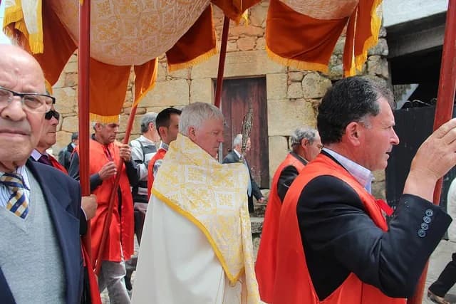9º Domingo do Tempo Comum